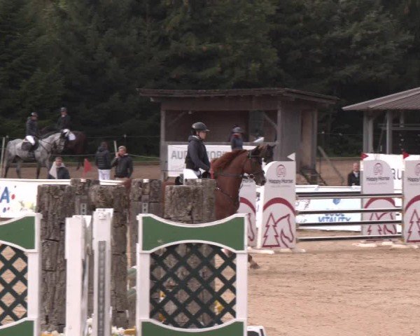 Reitturnier Ranshofen - Braunau am Inn 2024