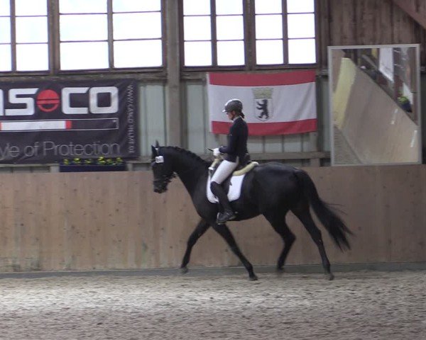 Reitturnier Elisenau 2024