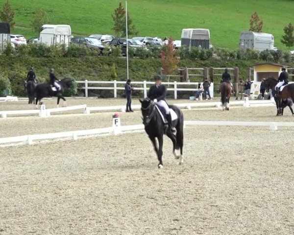 Reitturnier St. Margarethen 2024