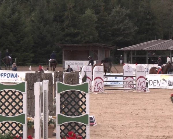 Reitturnier Ranshofen - Braunau am Inn 2024
