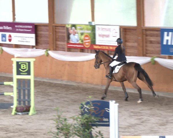 Reitturnier Xanten - Reitanlage Miss 2024