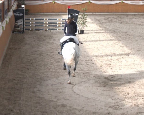 Reitturnier Xanten - Reitanlage Miss 2024