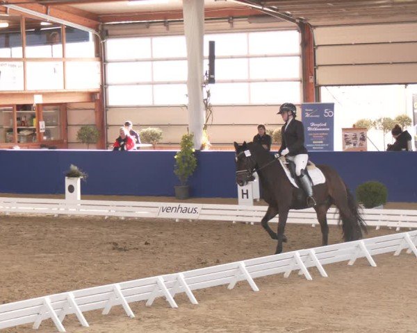 Reitturnier Isterberg 2024