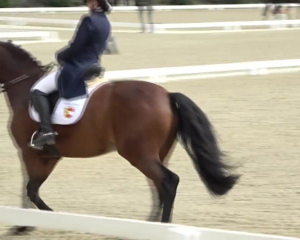 Reitturnier St. Margarethen 2024
