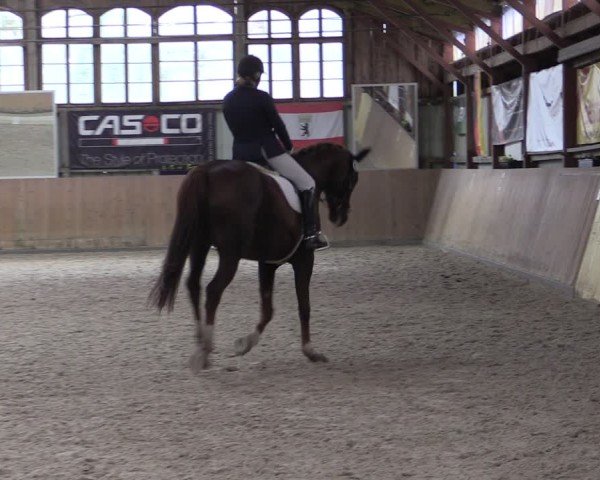 Reitturnier Elisenau 2024