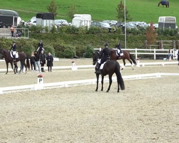 Reitturnier St. Margarethen 2024