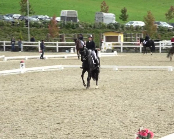 Reitturnier St. Margarethen 2024