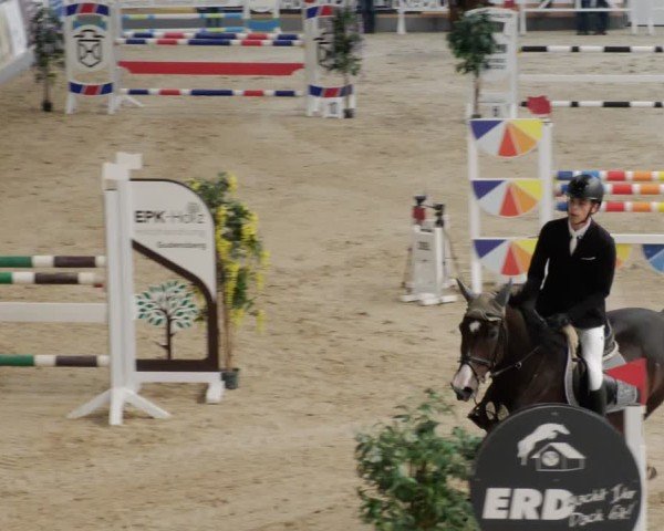 Reitturnier Borken 2024