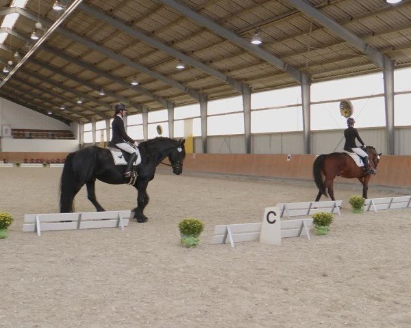 Reitturnier Frechen-Grefrath - Sonnenhof 2024