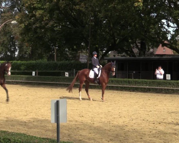 Reitturnier Bottrop-Kirchhellen 2024