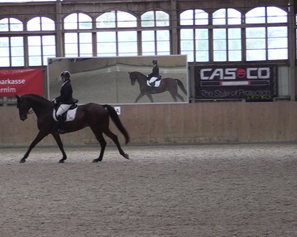 Reitturnier Elisenau 2024