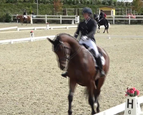 Reitturnier St. Margarethen 2024
