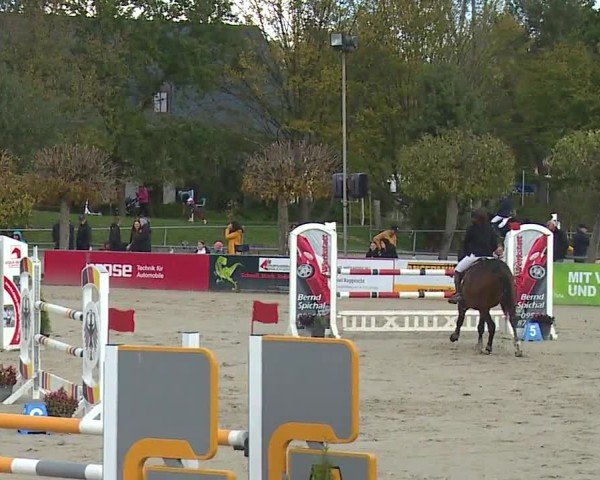 Reitturnier Frankenhof-Sonnefeld/Ofr. 2024
