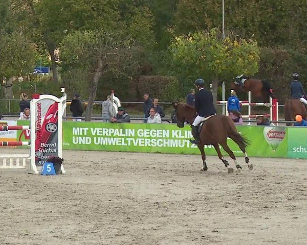 Reitturnier Frankenhof-Sonnefeld/Ofr. 2024