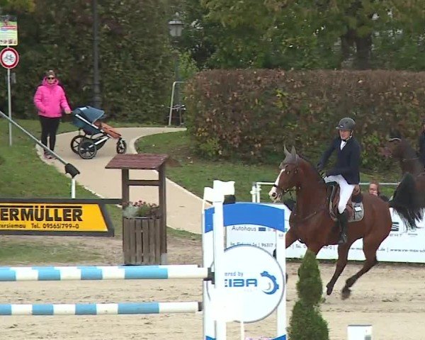 Reitturnier Frankenhof-Sonnefeld/Ofr. 2024