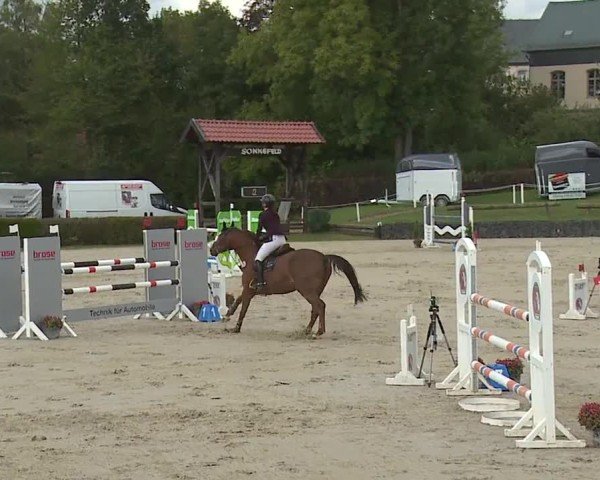 Reitturnier Frankenhof-Sonnefeld/Ofr. 2024