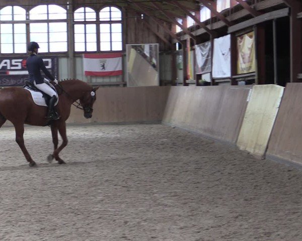 Reitturnier Elisenau 2024