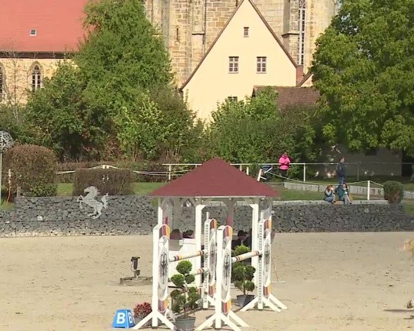Reitturnier Frankenhof-Sonnefeld/Ofr. 2024