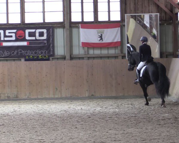 Reitturnier Elisenau 2024