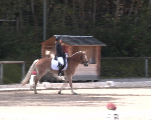 Reitturnier Igls 2024
