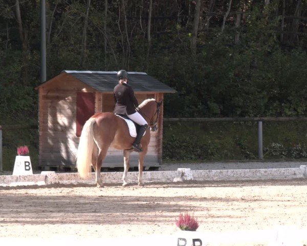 Reitturnier Igls 2024