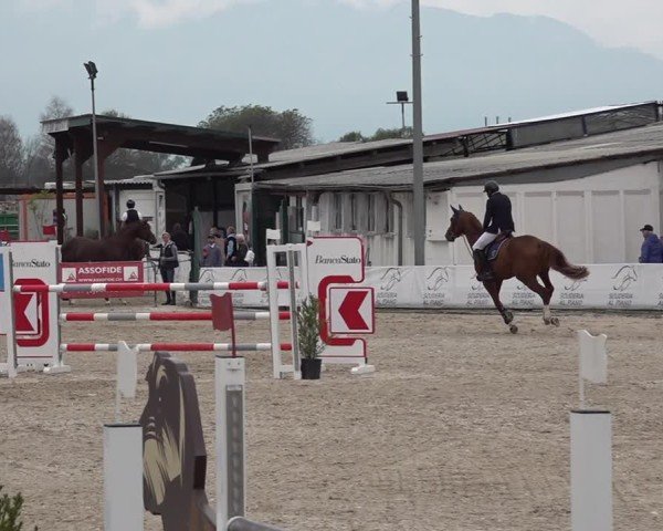 Reitturnier Giubiasco 2024