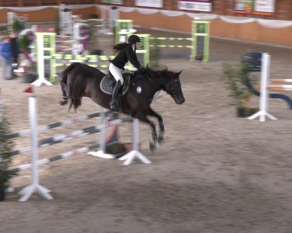 Reitturnier Xanten - Reitanlage Miss 2024