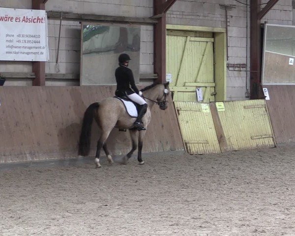Reitturnier Elisenau 2024