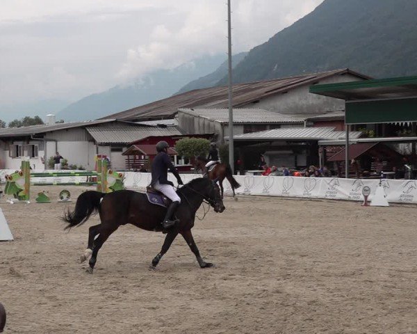 Reitturnier Giubiasco 2024