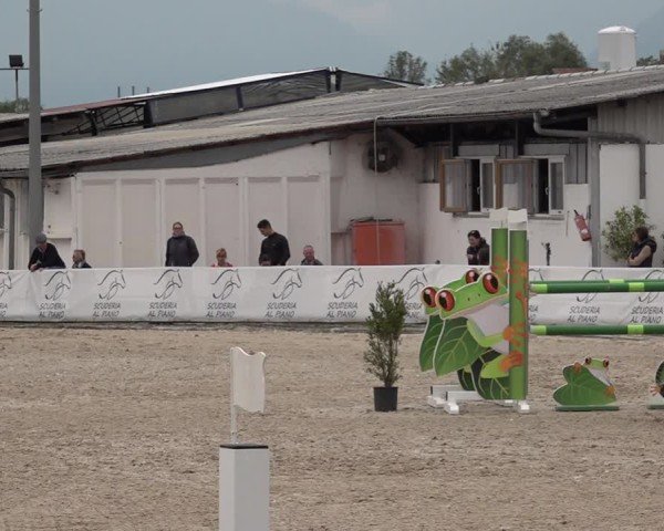 Reitturnier Giubiasco 2024