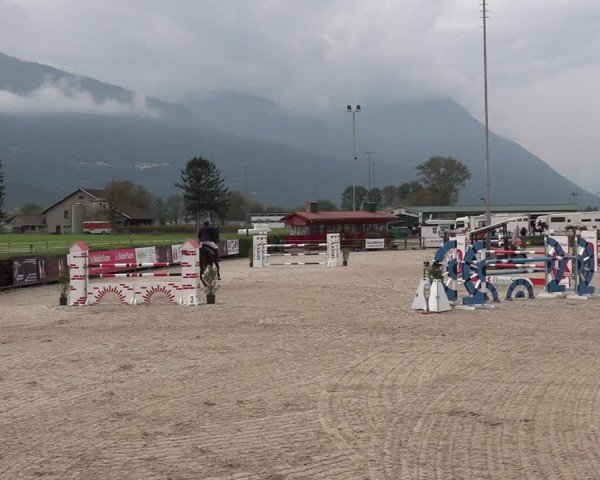 Reitturnier Giubiasco 2024