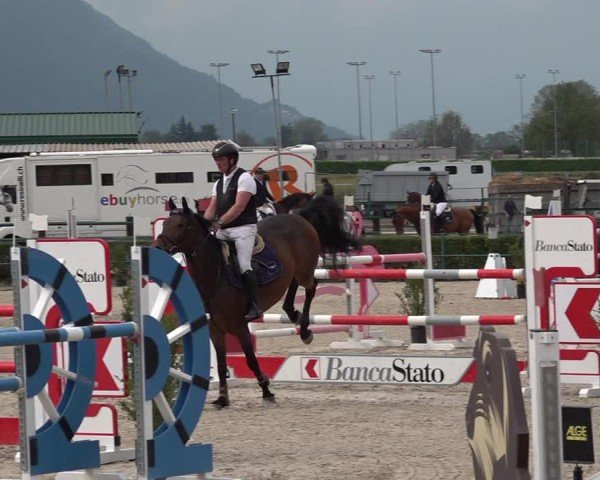 Reitturnier Giubiasco 2024
