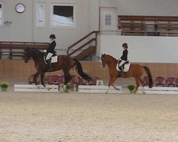 Reitturnier Frechen-Grefrath - Sonnenhof 2024