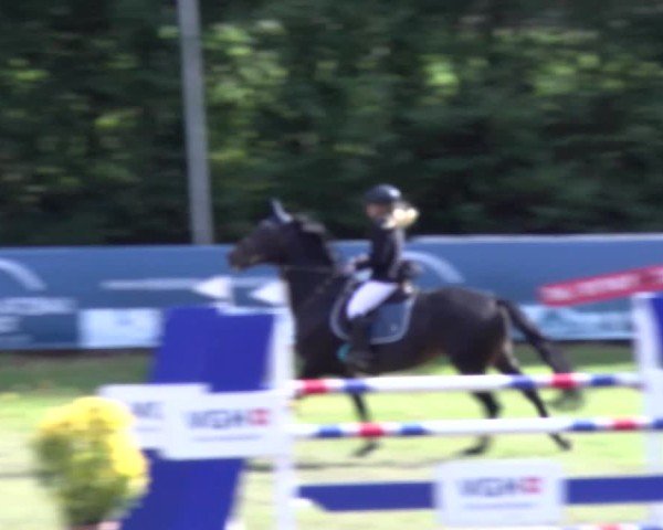 Reitturnier Scharnebeck 2024