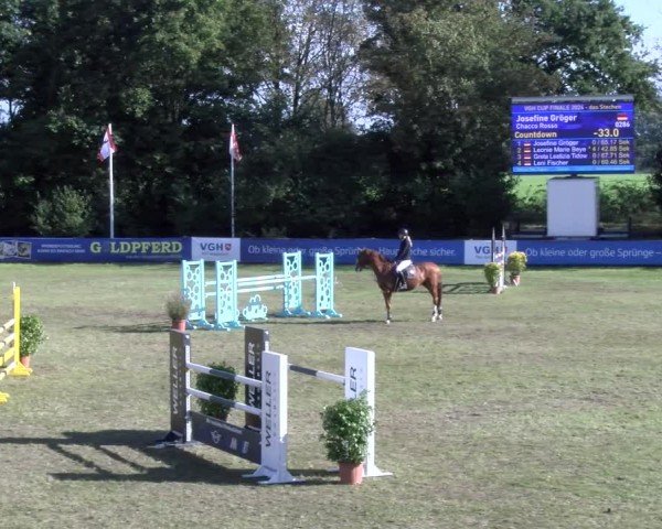 Reitturnier Scharnebeck 2024