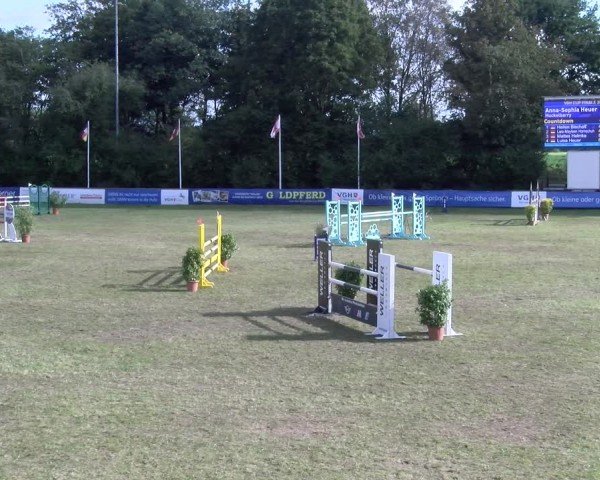 Reitturnier Scharnebeck 2024