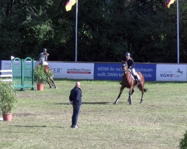 Reitturnier Scharnebeck 2024