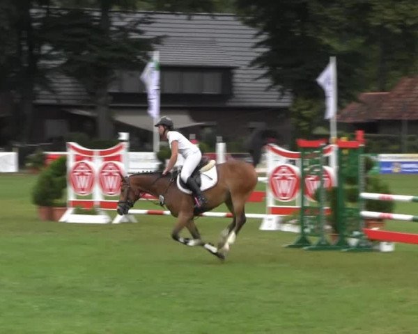 Westfalen-Woche 2013