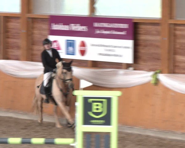 Reitturnier Xanten - Reitanlage Miss 2024