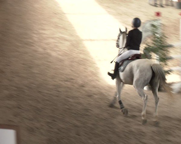 Reitturnier Xanten - Reitanlage Miss 2024