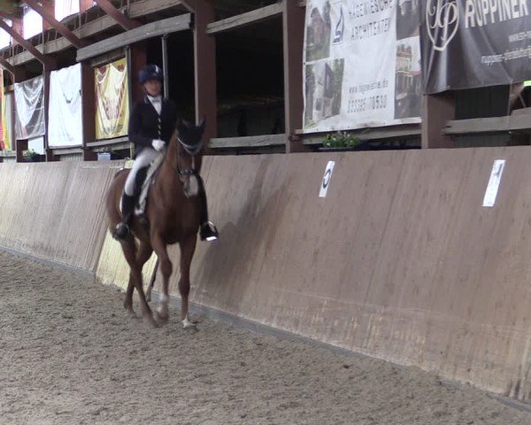 Reitturnier Elisenau 2024