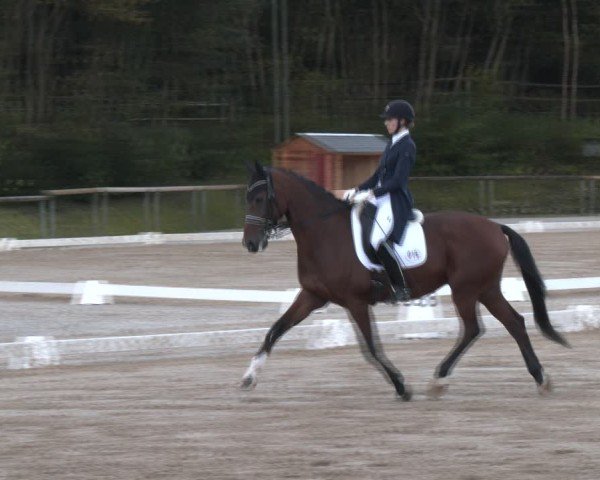 Reitturnier Igls 2024