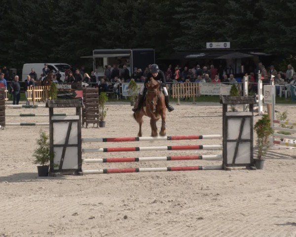 Reitturnier Pietzpuhl 2024