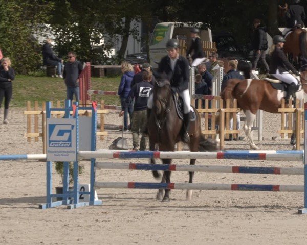 Reitturnier Pietzpuhl 2024