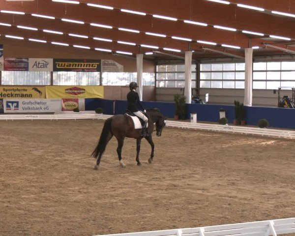 Reitturnier Isterberg 2024