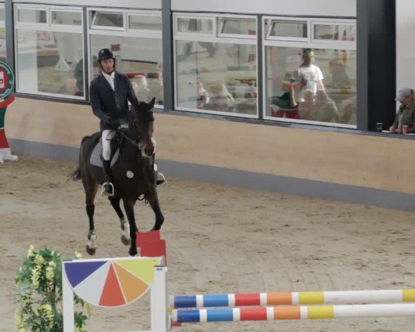 Reitturnier Borken 2024