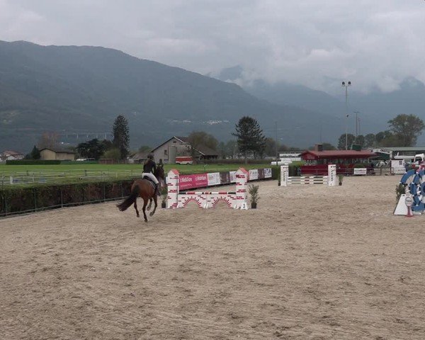 Reitturnier Giubiasco 2024
