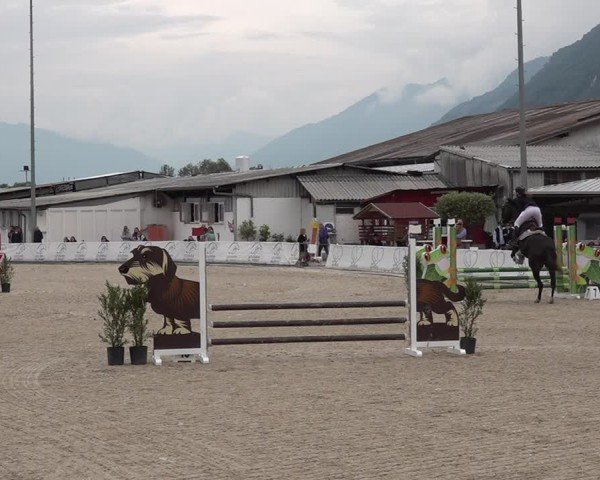 Reitturnier Giubiasco 2024