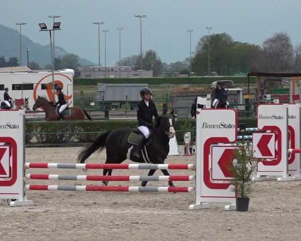 Reitturnier Giubiasco 2024