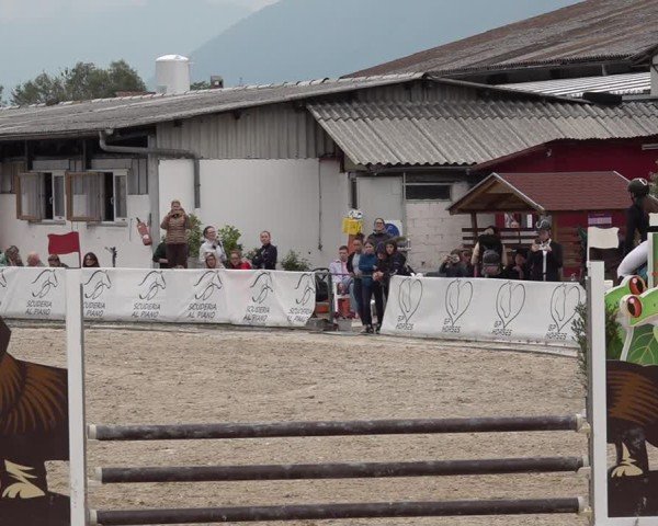 Reitturnier Giubiasco 2024